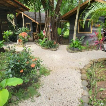 Casa el Colibrí Acomodação com café da manhã Parrita Exterior foto