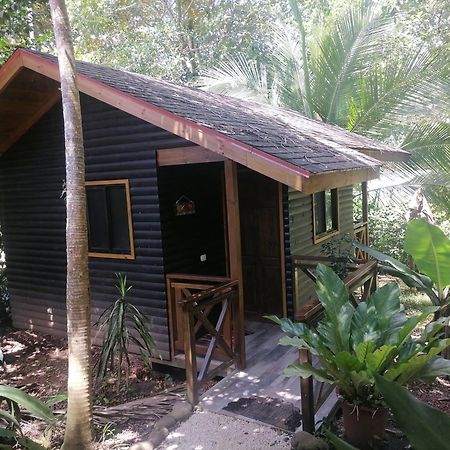 Casa el Colibrí Acomodação com café da manhã Parrita Quarto foto