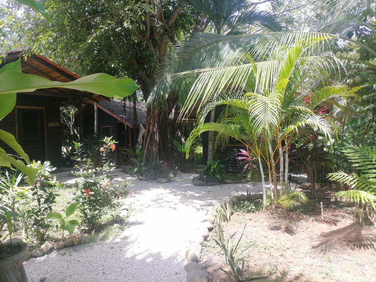 Casa el Colibrí Acomodação com café da manhã Parrita Exterior foto