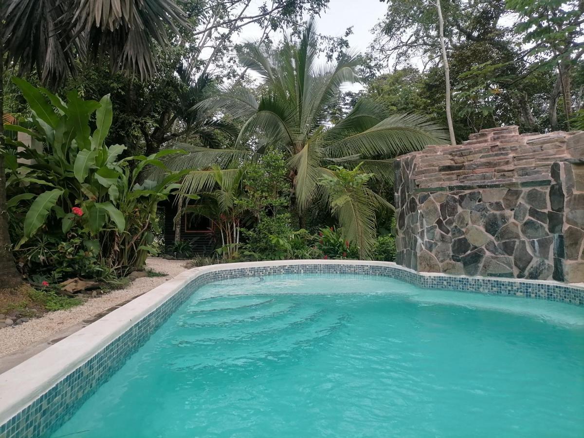 Casa el Colibrí Acomodação com café da manhã Parrita Exterior foto