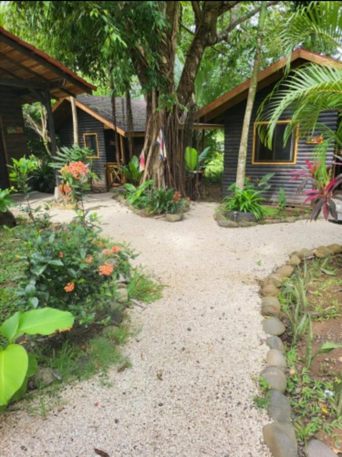 Casa el Colibrí Acomodação com café da manhã Parrita Exterior foto