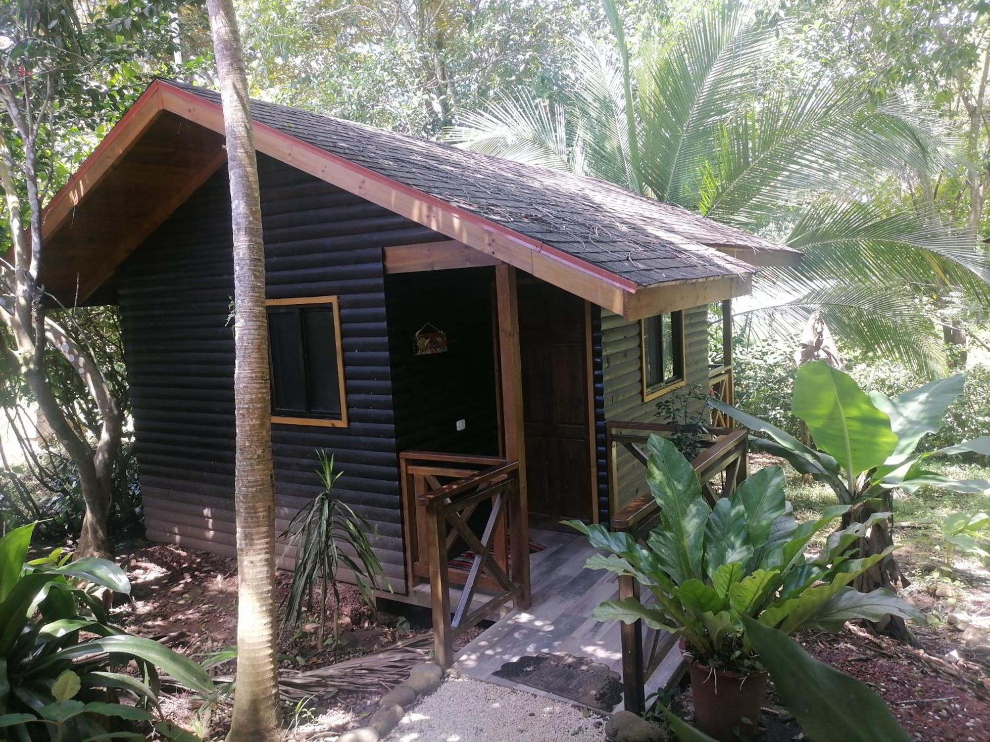 Casa el Colibrí Acomodação com café da manhã Parrita Quarto foto
