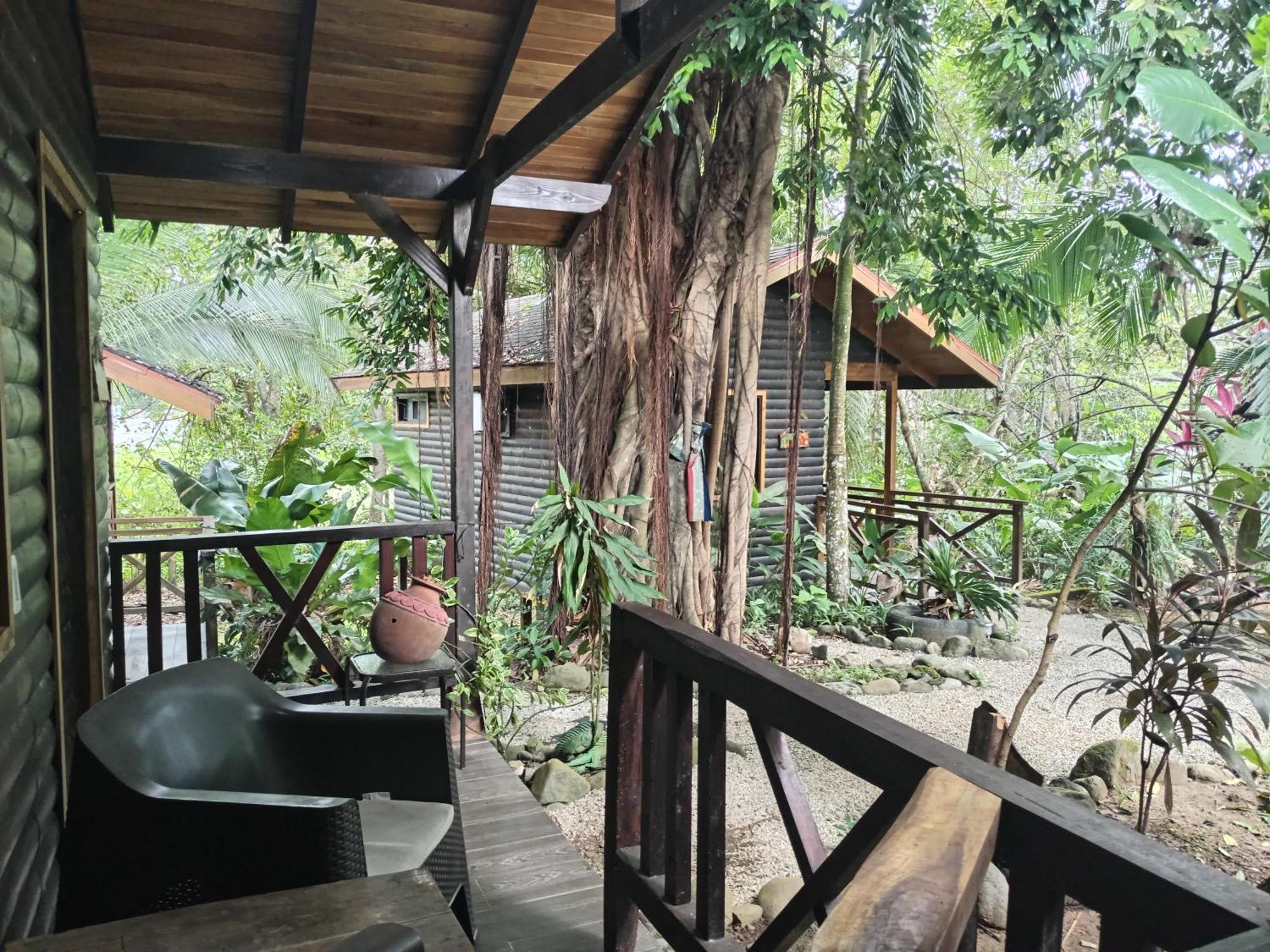 Casa el Colibrí Acomodação com café da manhã Parrita Exterior foto